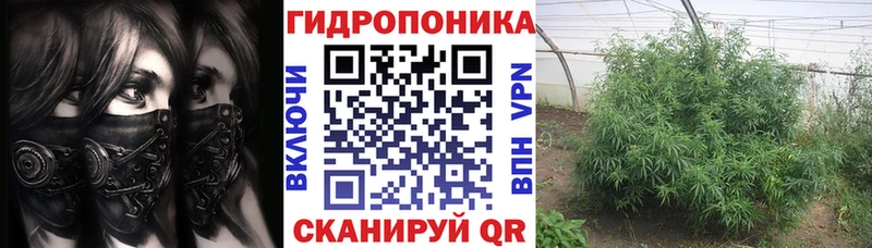 Шишки марихуана MAZAR Купить Балтийск